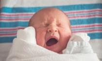 Развитие малыша: когда новорожденные начинают держать голову