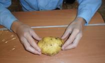 Bagaimana cara membuat landak dari kentang?