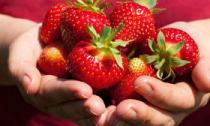 Une tõlgendamine - söö maasikaid